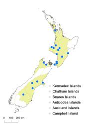 Cotoneaster microphyllus distribution map based on databased records at CHR. 
 Image: K. Boardman © Landcare Research 2017 CC BY 3.0 NZ
